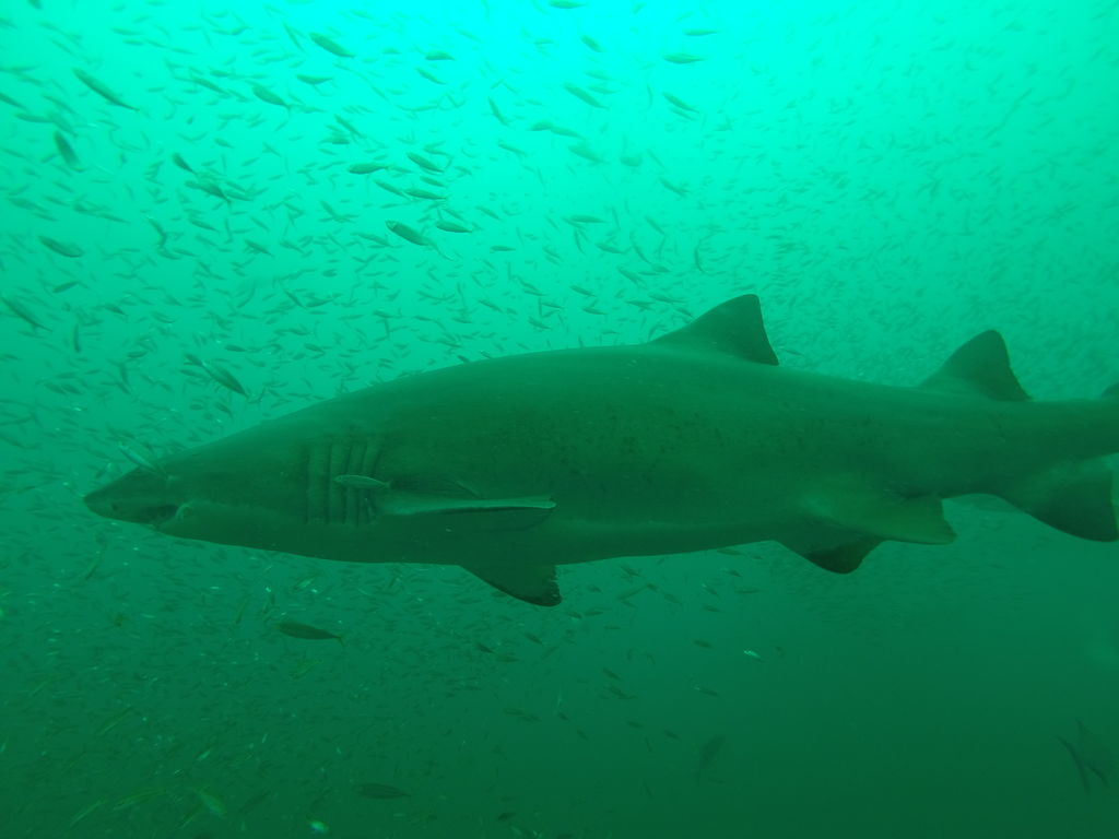 1de294e5-f45b-43f0-b404-e5b7f274e0eb