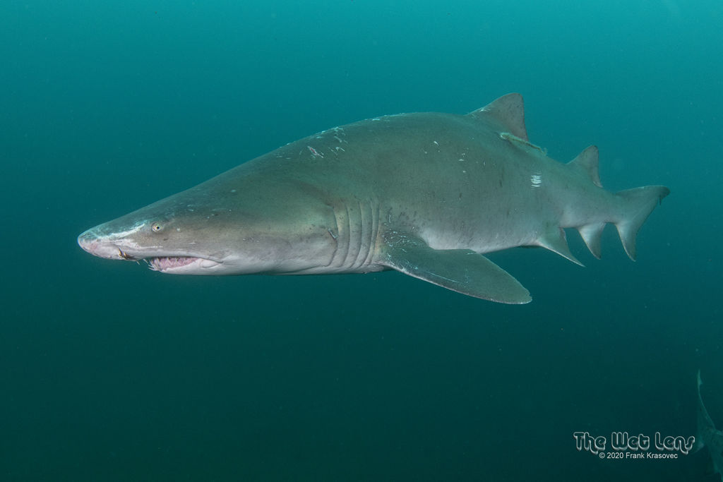 ee324b2e-32a5-4ddb-8673-dd6ce76ca9b4