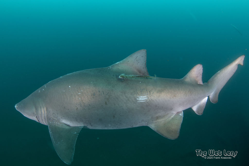 ee324b2e-32a5-4ddb-8673-dd6ce76ca9b4