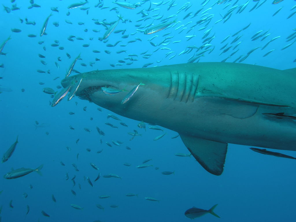 b1ac1e69-615c-4b91-8ac7-45dd71230881