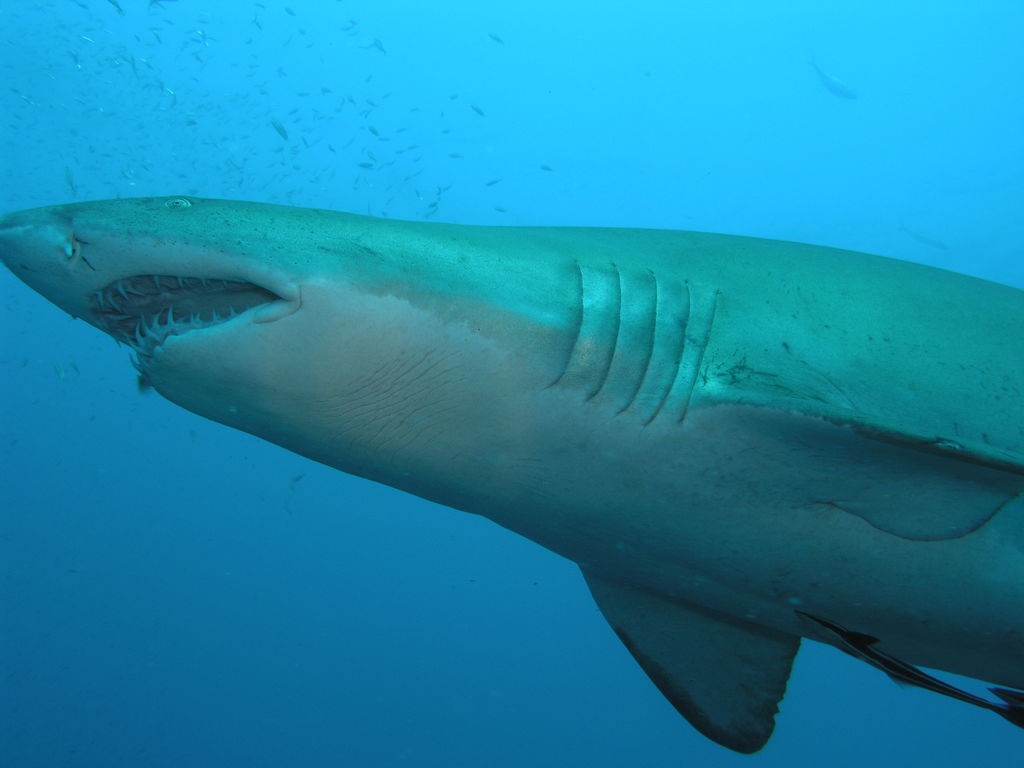 b1ac1e69-615c-4b91-8ac7-45dd71230881