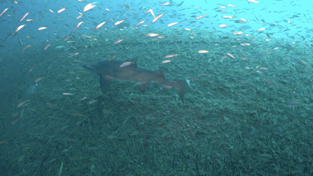 50be2717-67b5-4cdc-bafb-a3002f33dd38