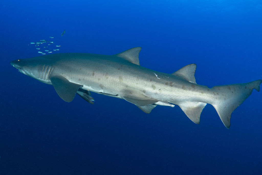 89927130-681d-45d4-a8ef-f4bfd315f803