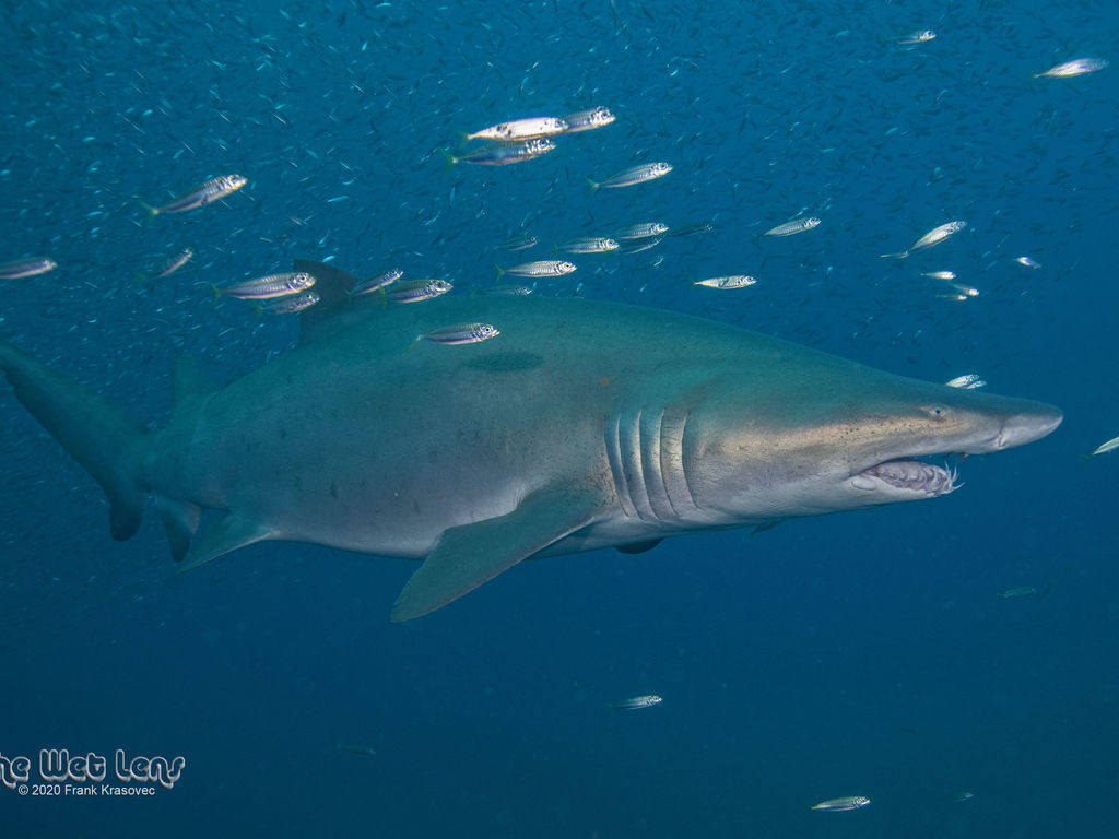 5cb15cd6-67d7-4580-94d5-93af68df470e