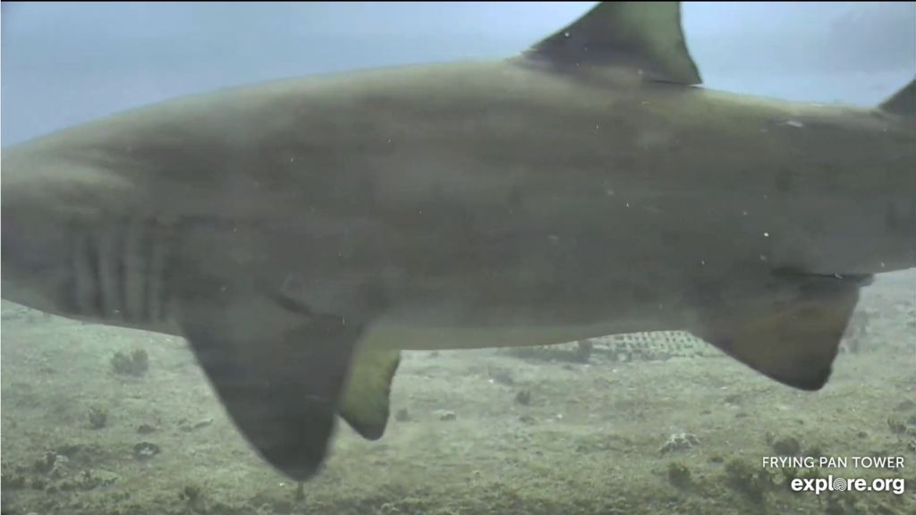 9b4f700c-c705-4bc8-9fc3-33a150152554