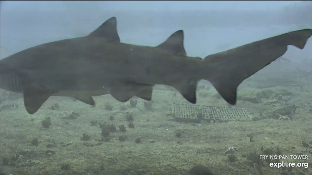 9b4f700c-c705-4bc8-9fc3-33a150152554