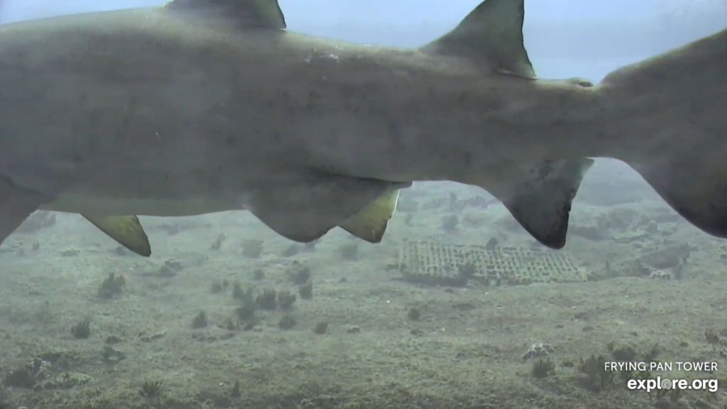 9b4f700c-c705-4bc8-9fc3-33a150152554