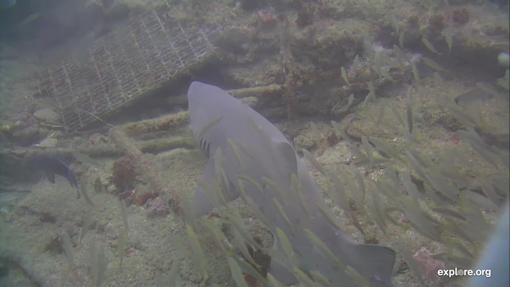 d465aa1c-4823-43af-bd96-2b8c5451790c