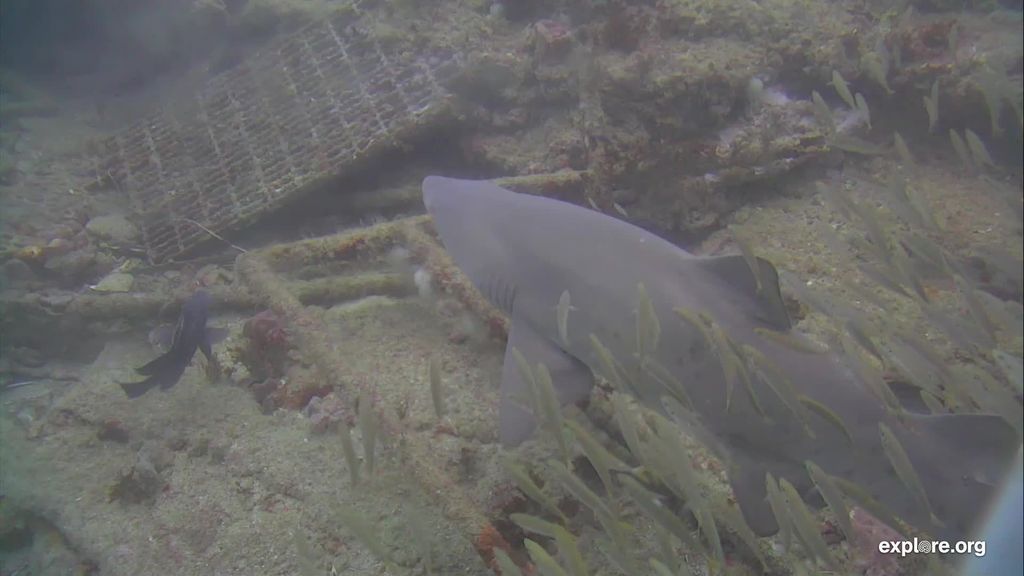 d465aa1c-4823-43af-bd96-2b8c5451790c