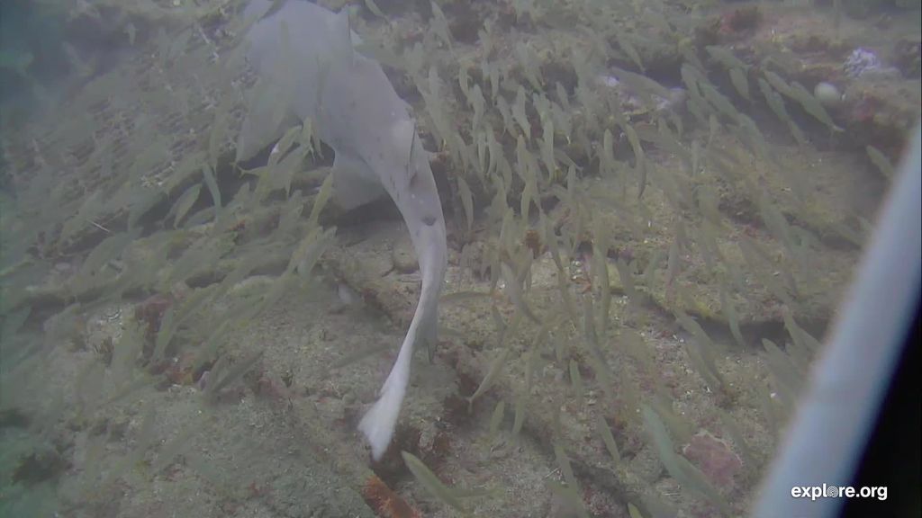 d465aa1c-4823-43af-bd96-2b8c5451790c