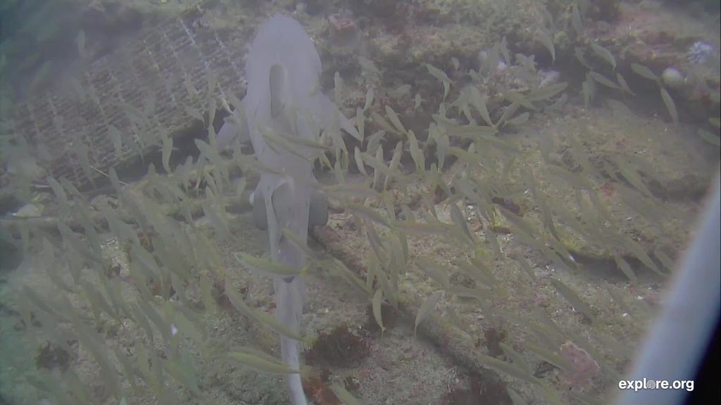 d465aa1c-4823-43af-bd96-2b8c5451790c