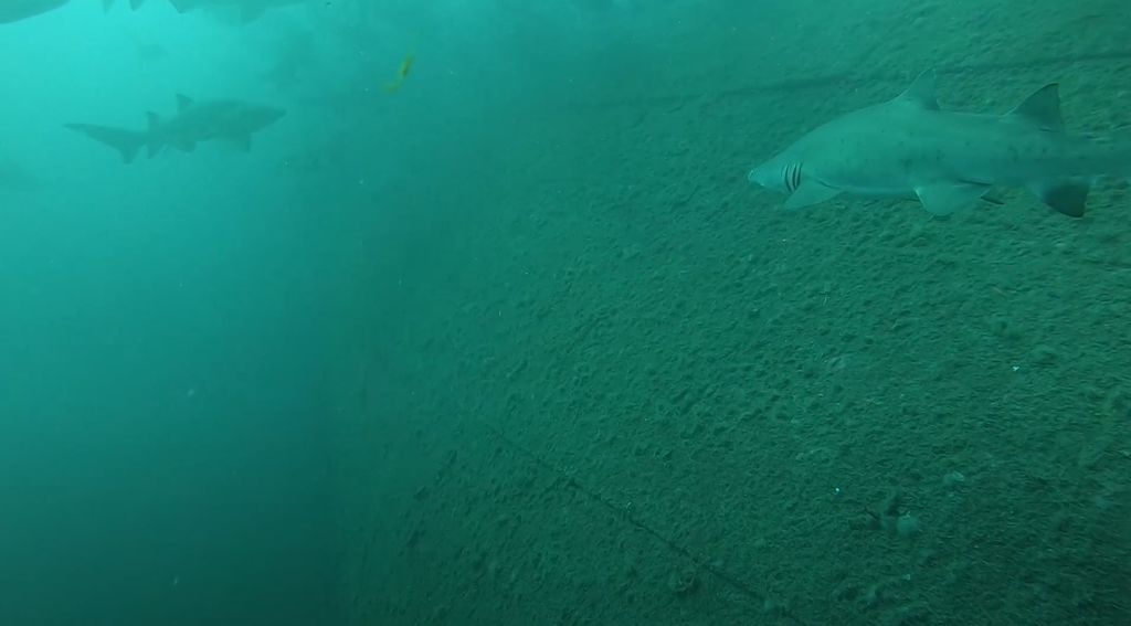 8fd64174-225a-4d74-b410-e6cef21701c3