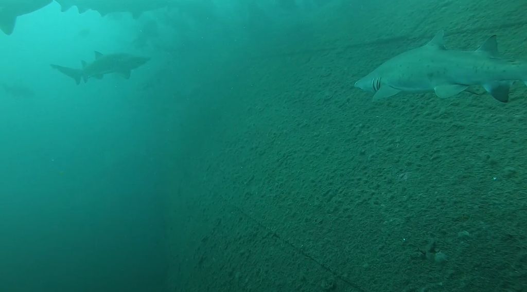 8fd64174-225a-4d74-b410-e6cef21701c3