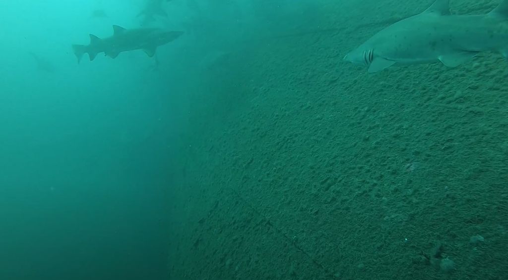 8fd64174-225a-4d74-b410-e6cef21701c3