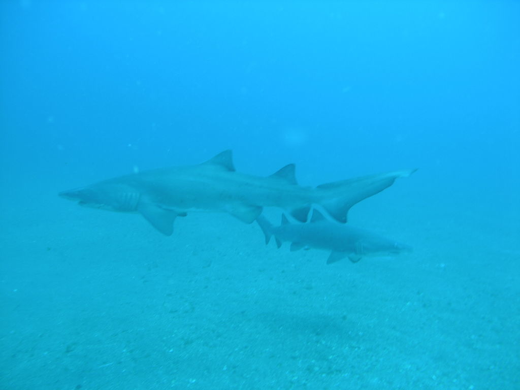 9adb4c41-7765-4996-a7fd-db00d354005c