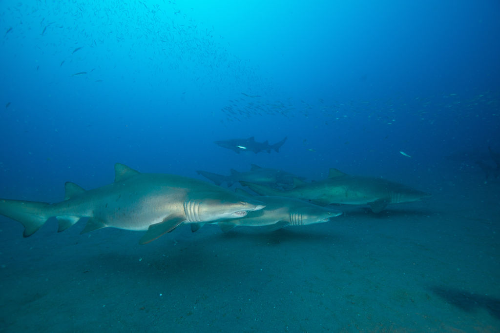 2311ce65-b863-427f-a317-f83bb0ac2964