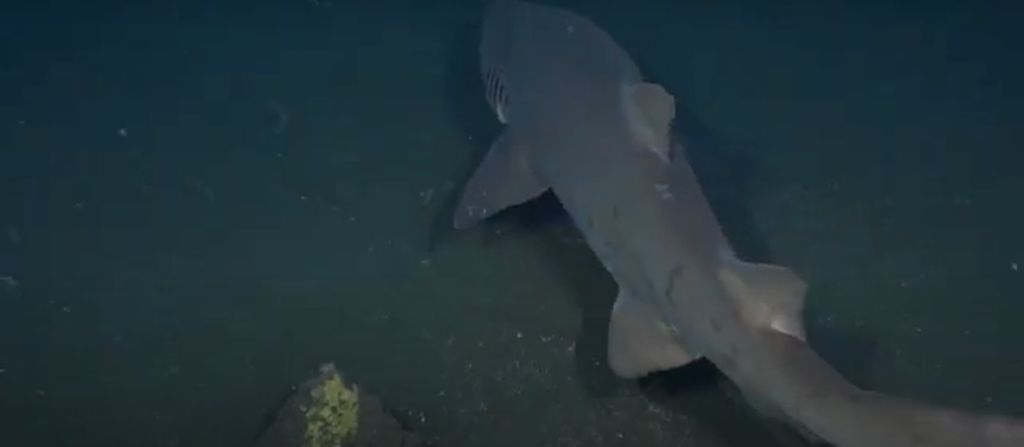 e2861bff-ba9b-4ab2-999a-6ae0182cf949