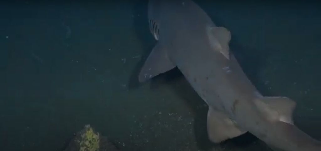 e2861bff-ba9b-4ab2-999a-6ae0182cf949