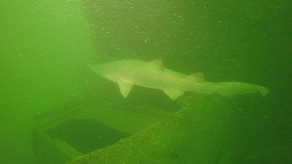 f2f9d6cb-7dfa-4513-a609-5a3d30b6b67e