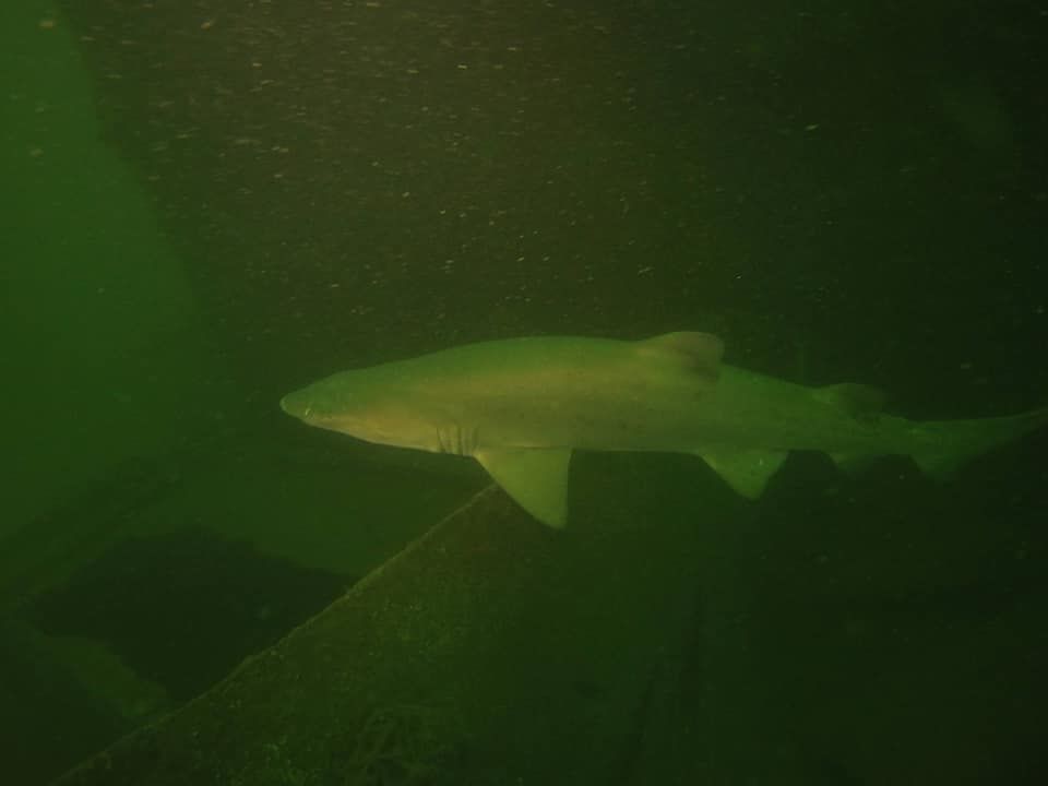 f2f9d6cb-7dfa-4513-a609-5a3d30b6b67e