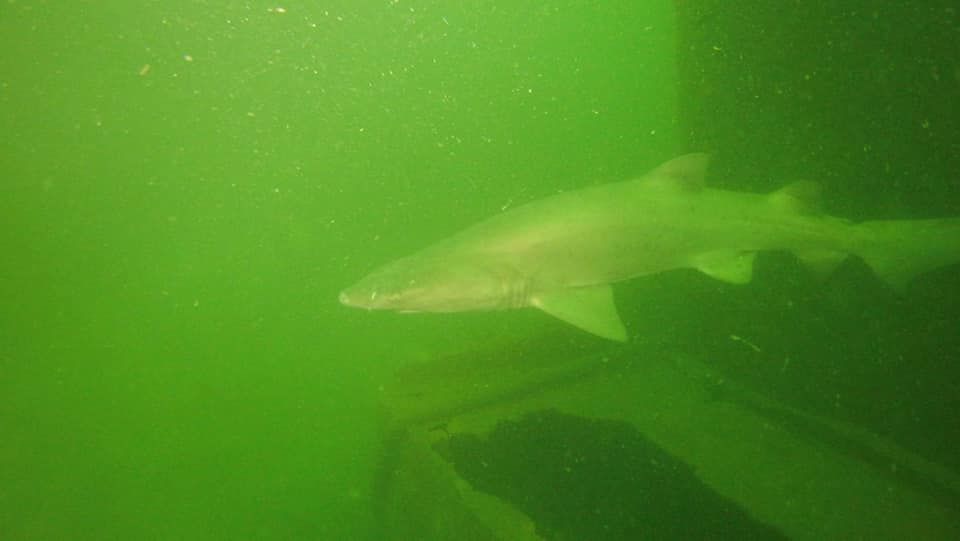 f2f9d6cb-7dfa-4513-a609-5a3d30b6b67e