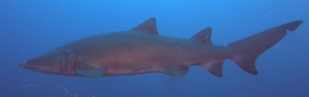 39bf22e6-cd63-4e53-830a-795cd0177733