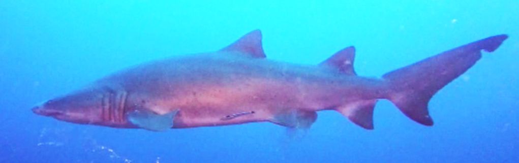 39bf22e6-cd63-4e53-830a-795cd0177733