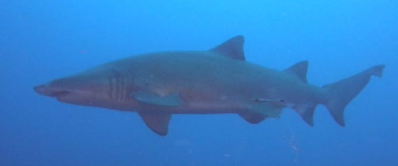 39bf22e6-cd63-4e53-830a-795cd0177733