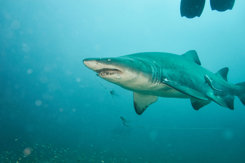 16437c86-3a04-48b1-a0cd-764e20d3c4be