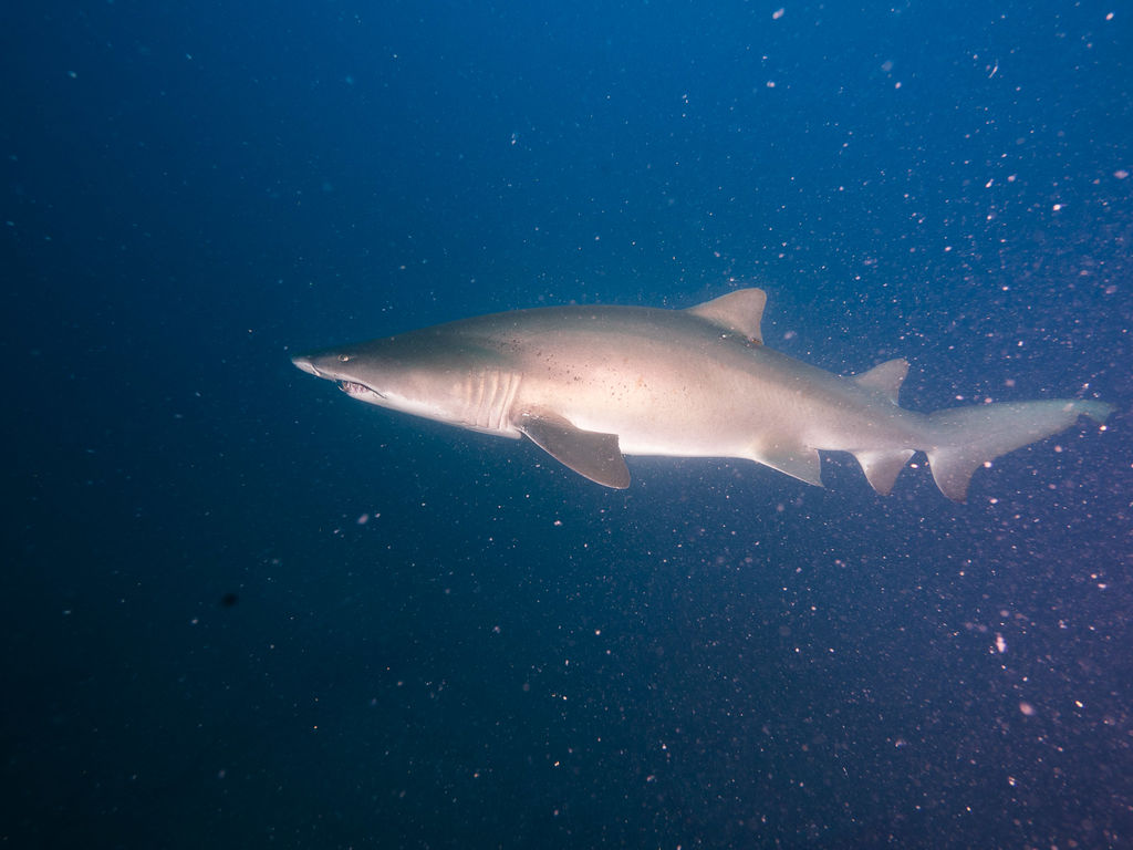 7338a090-cbb7-4da4-a3a8-ae3a75067fed