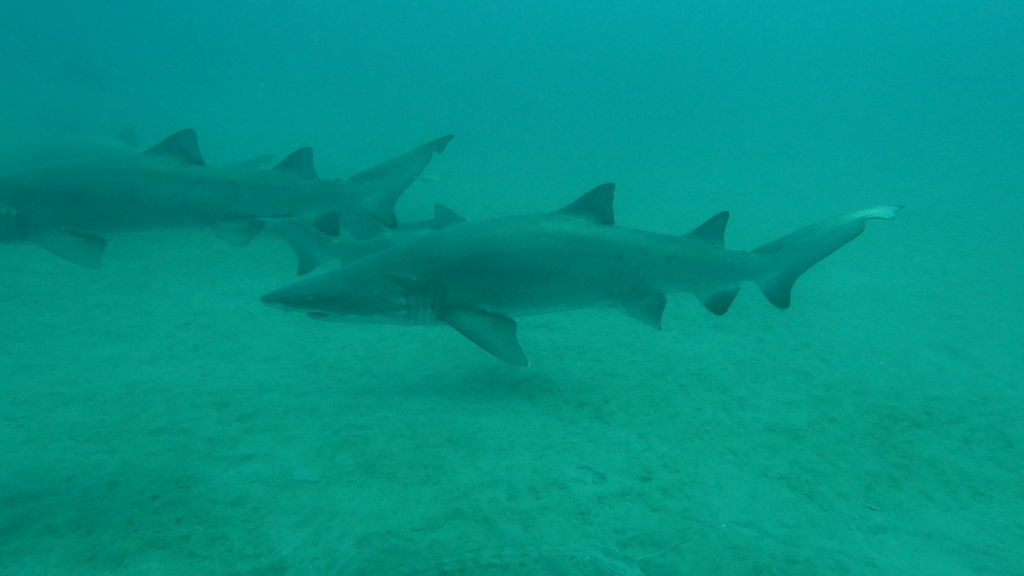 1d61b49f-90f4-4de8-a4eb-667529b40f72