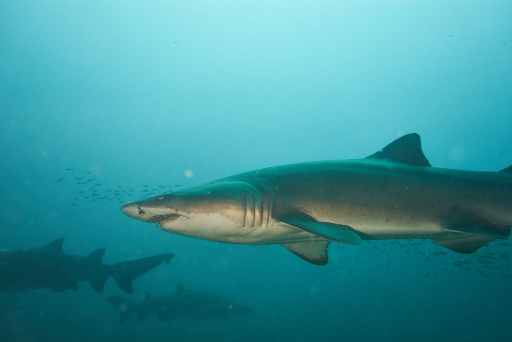 67343b45-9784-42be-a35c-113e1d868061