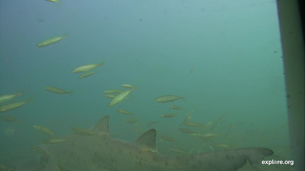 afd9416c-7566-4df3-bb4e-2e5b766c02a1