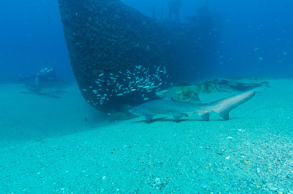 c42763a9-0d20-4fb6-a111-277f2e8f300e