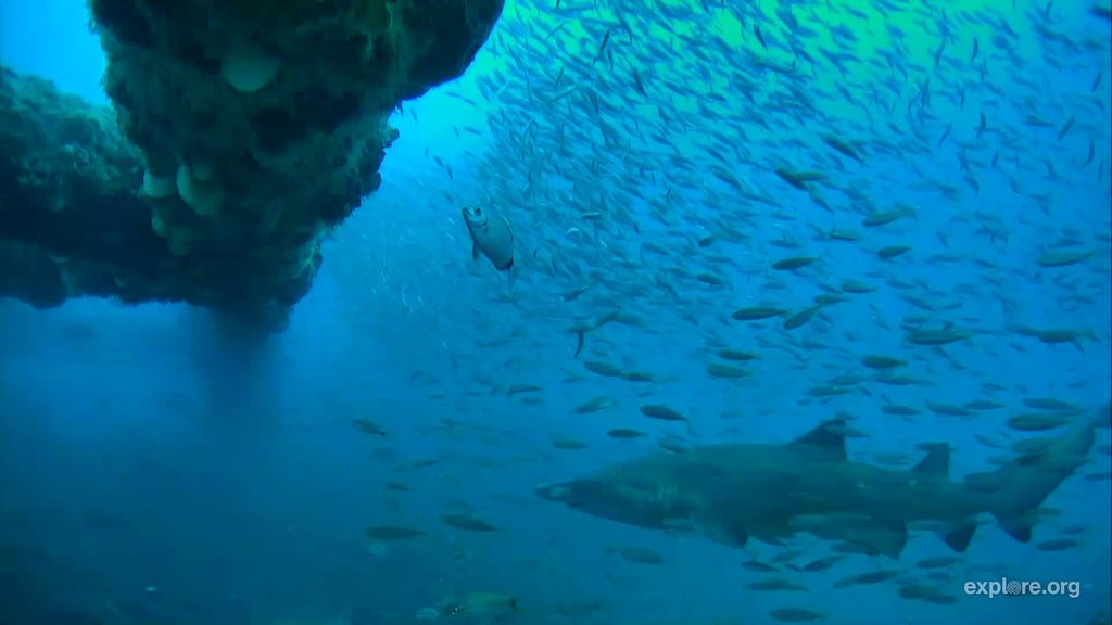 814bfa0d-a9d8-4b9b-b134-93c47c2d20a5