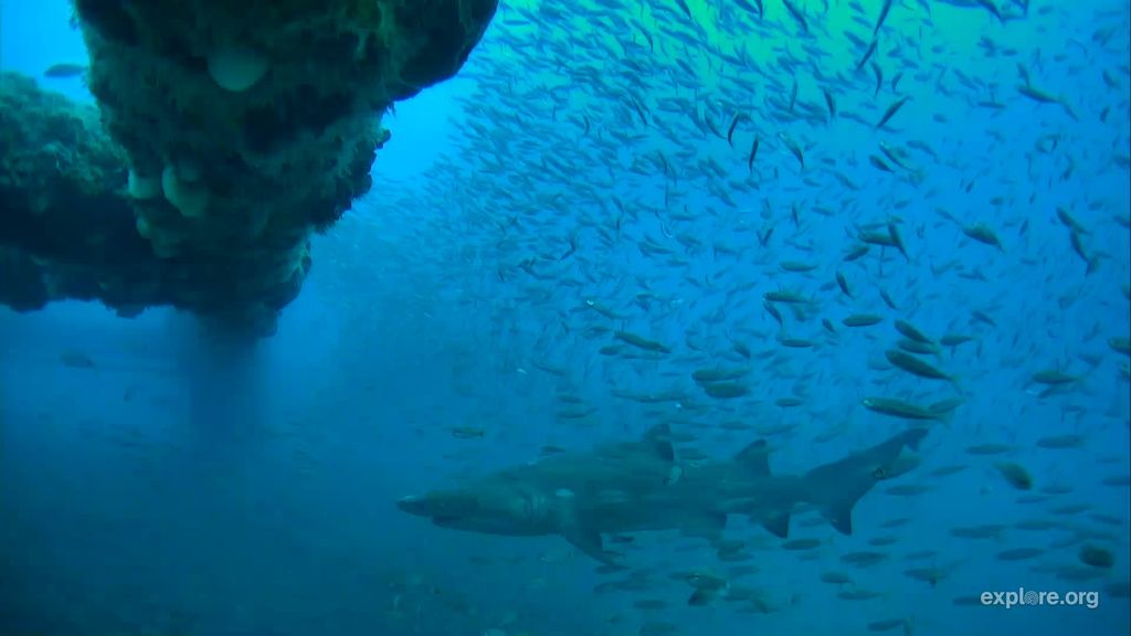 814bfa0d-a9d8-4b9b-b134-93c47c2d20a5