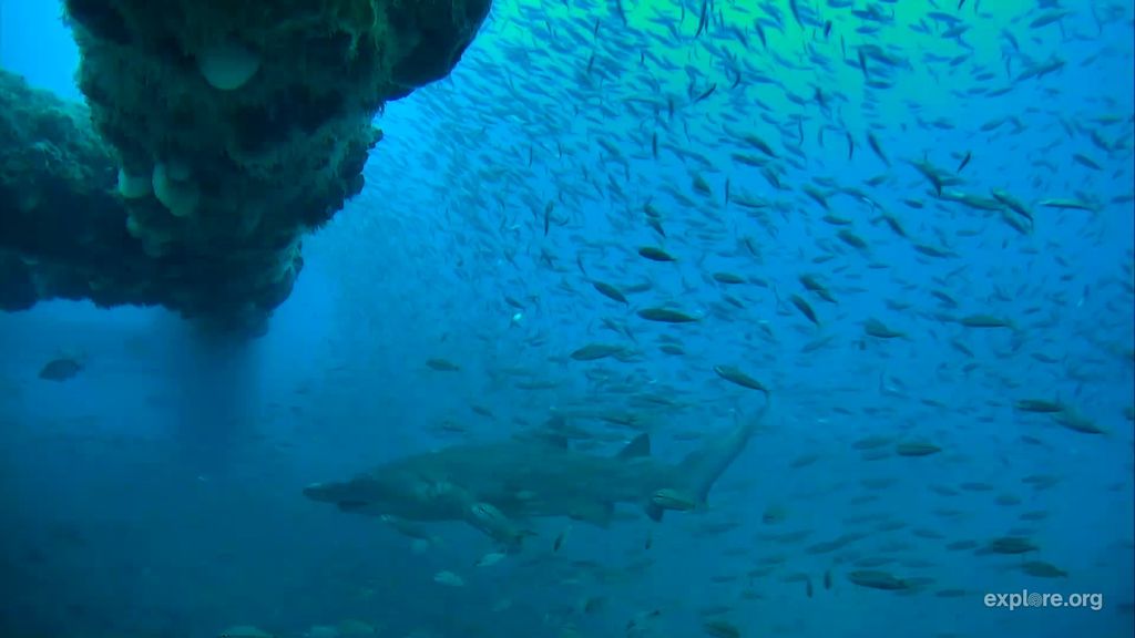 814bfa0d-a9d8-4b9b-b134-93c47c2d20a5