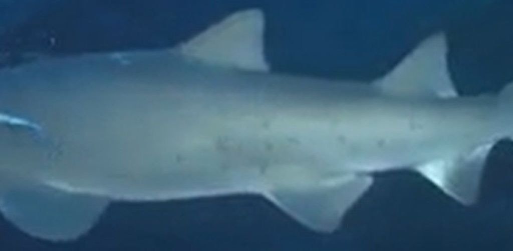 f8555c10-e4a4-4263-8a43-eb7384d3c7a8