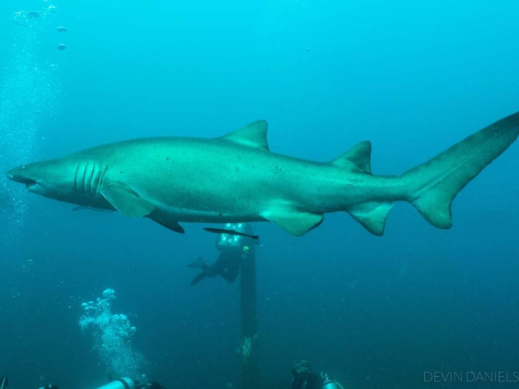 ac06fa49-5c6d-4b3f-886a-44073dd1bf41