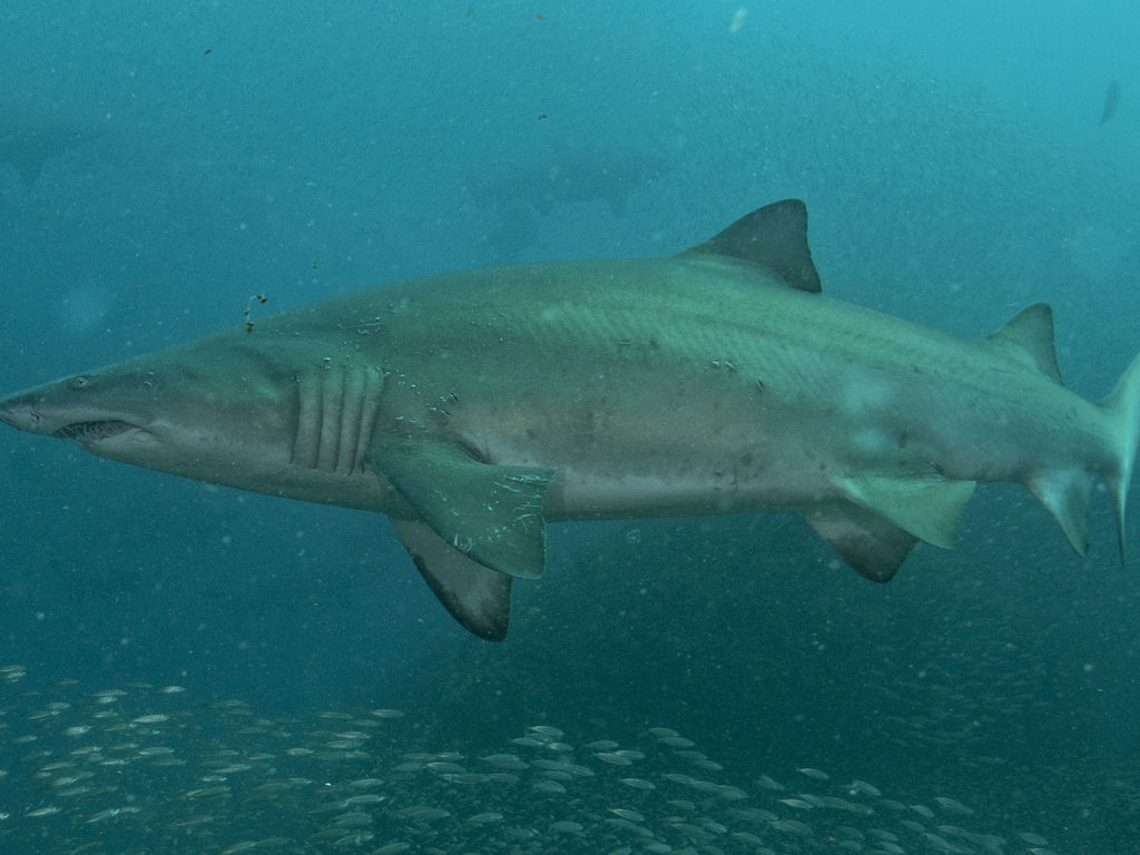 5b32211e-b3d0-4d6a-b676-9c56e7150993