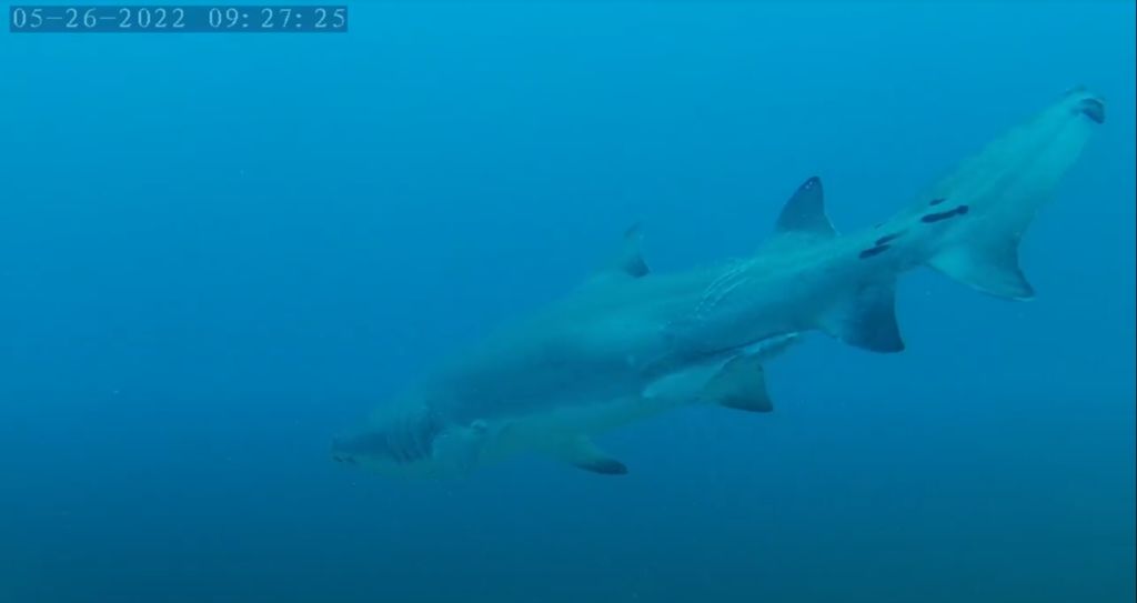 fc64979e-71cd-48c3-ae33-01d87b5c642a