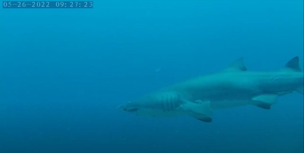 fc64979e-71cd-48c3-ae33-01d87b5c642a