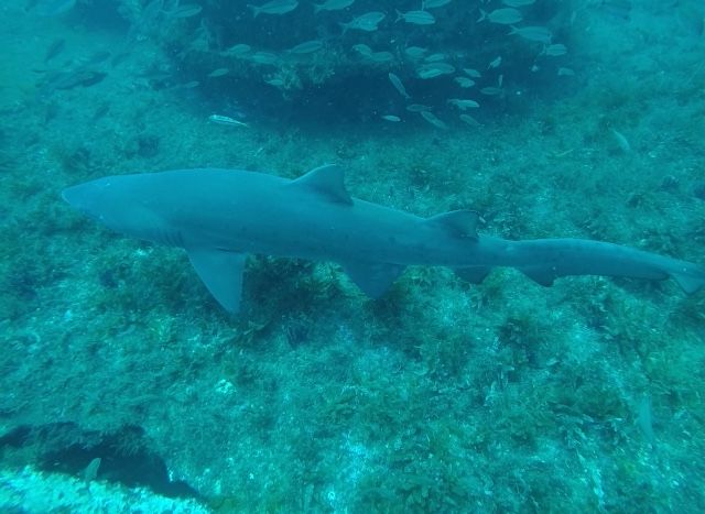 e87e64b7-2ae6-440e-a743-9636981abe81