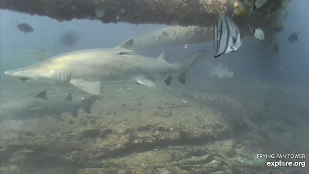 320d2d61-c223-4acd-a3c2-5d5e486fffd8