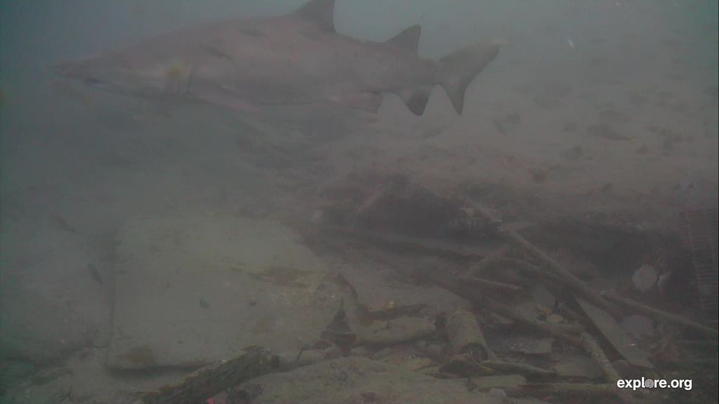 0371442b-3e57-486a-9f12-ad2614784f3f