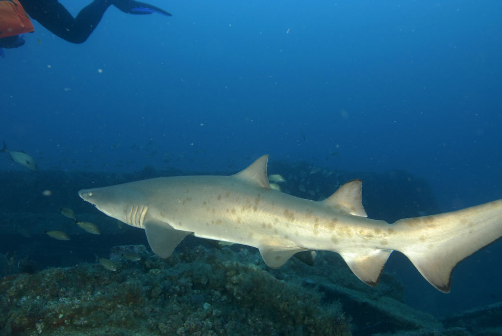 651915fe-eee9-4662-aa9e-a72ccd9556ba