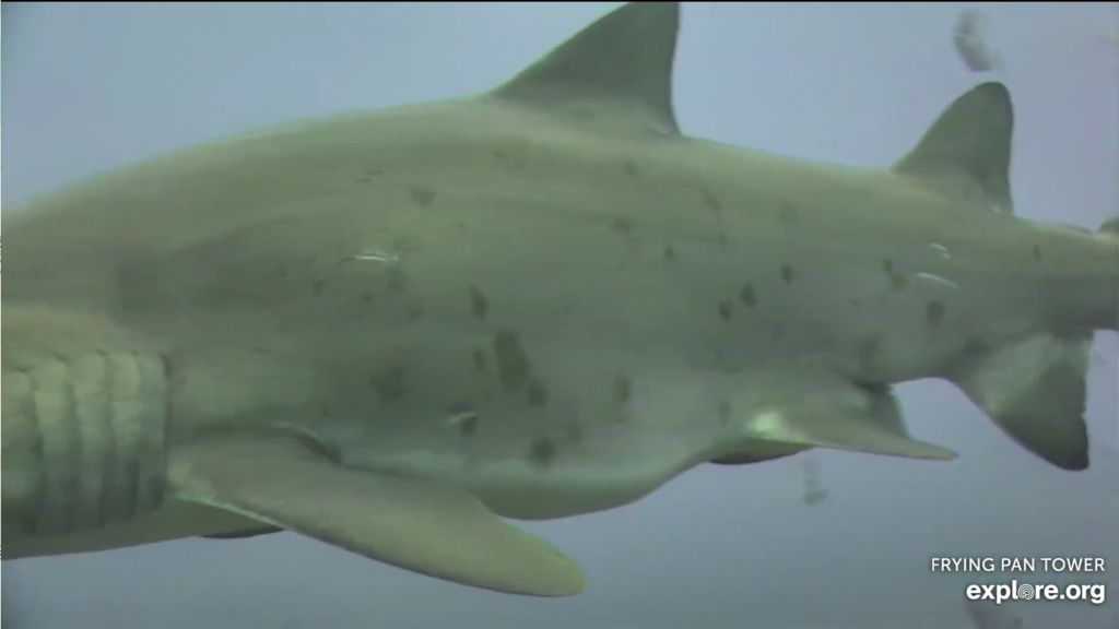 5a9dcceb-1d25-4b26-a1c1-9a0bc2d80c39