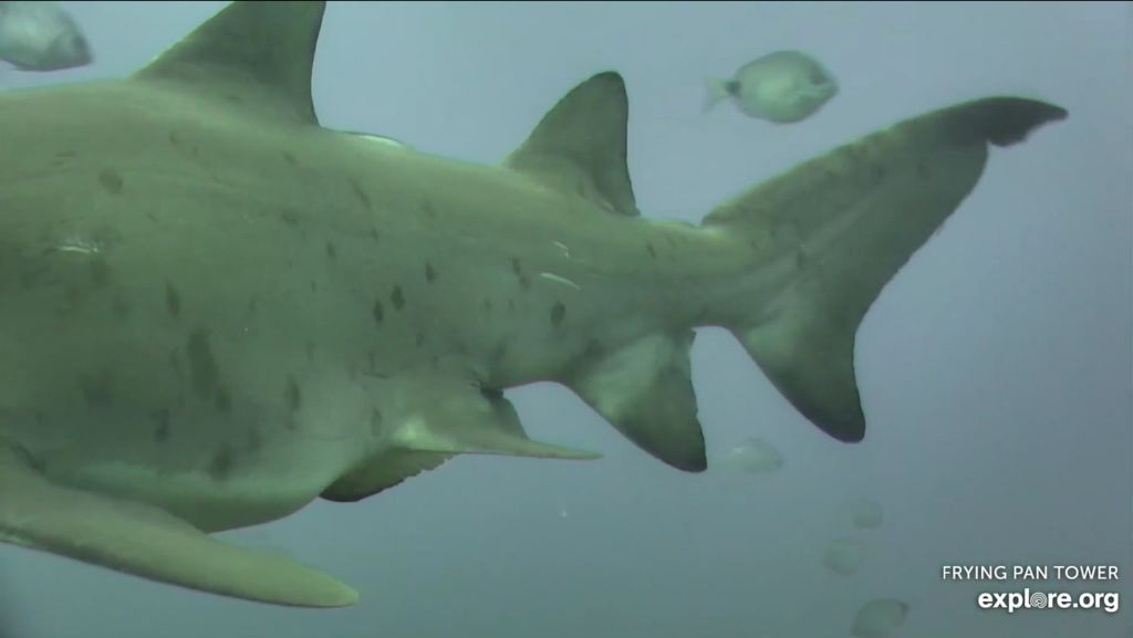 5a9dcceb-1d25-4b26-a1c1-9a0bc2d80c39