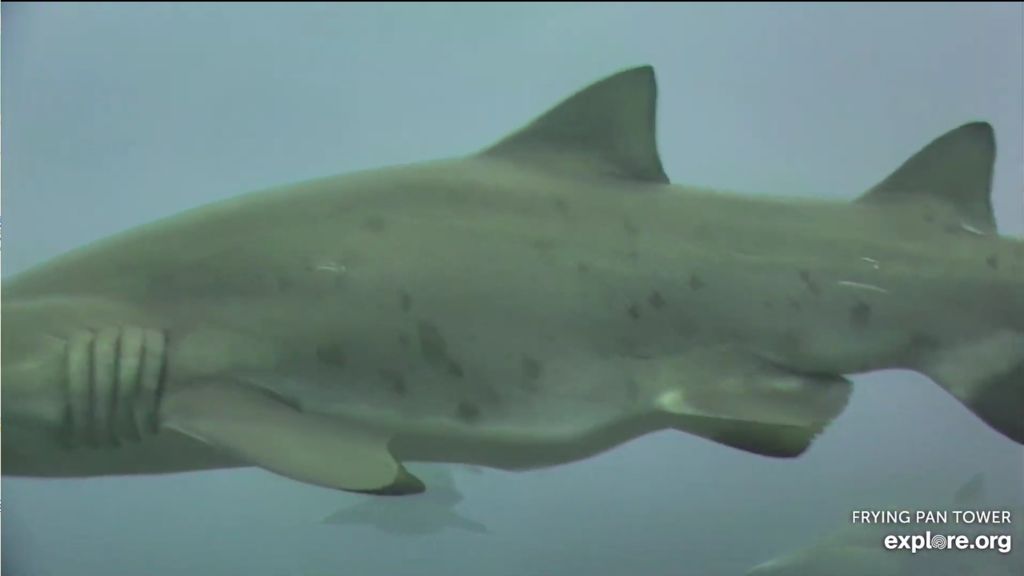 5a9dcceb-1d25-4b26-a1c1-9a0bc2d80c39