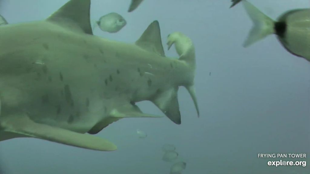 5a9dcceb-1d25-4b26-a1c1-9a0bc2d80c39